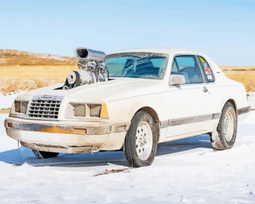 White 1986 Ford Tbird Car paint by number