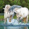 White Horses In River Art paint by number