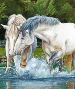 White Horses In River Art paint by number