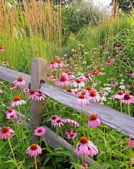 Meadow Wildflowers paint by number