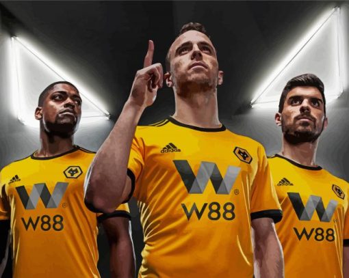 Wolves Fc Players paint by number