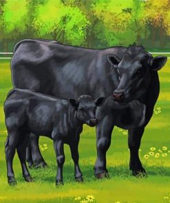 Aberdeen Angus Cows Paint by number