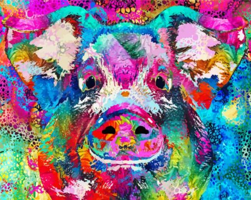 Abstract Colorful Pig paint by number