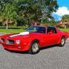 Aesthetic 78 Trans Am paint by number