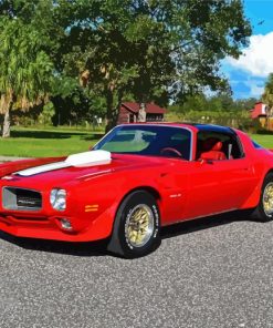 Aesthetic 78 Trans Am paint by number