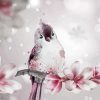 Aesthetic Bird Pink Flower Illustration paint by number