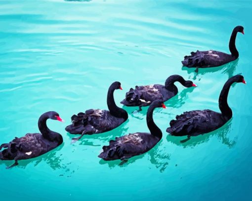 Aesthetic Black Swans Paint by number