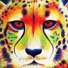 Aesthetic Colorful Cheetah paint by number