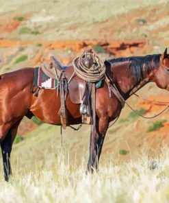 Aesthetic Ranch Horse paint by number