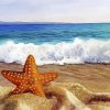 Aesthetic Starfish On Beach Illustration paint by number