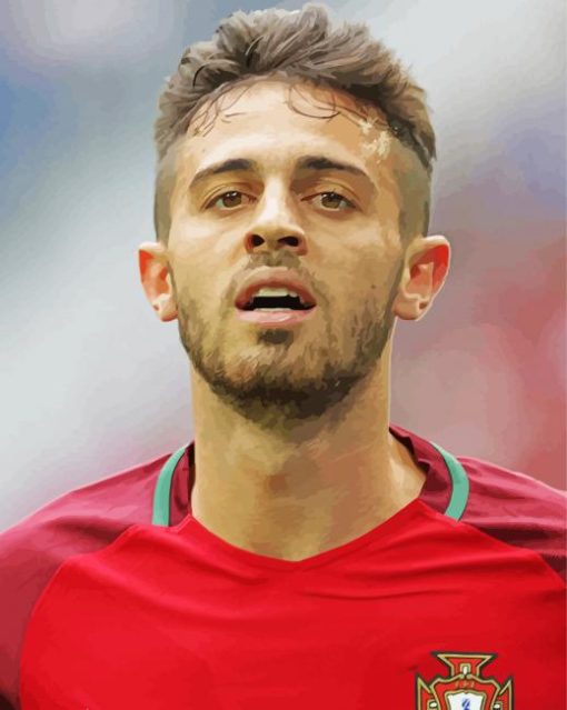 Bernardo Silva Football Player paint by number