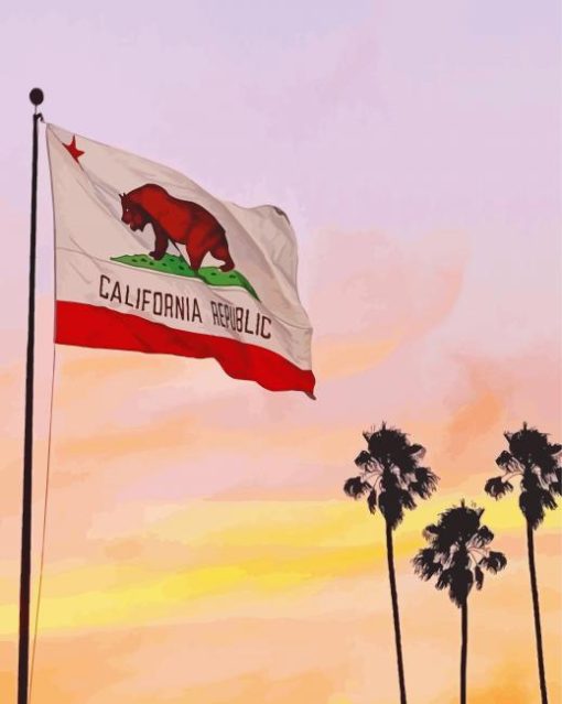 California Flag Palm Trees paint by number