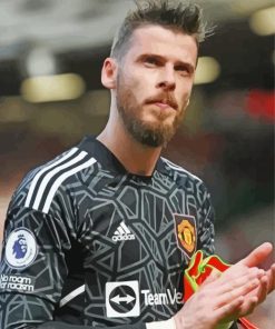 David De Gea Player paint by number