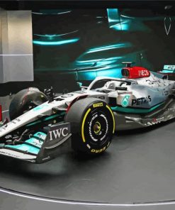 F1 Mercedes Racing Car paint by number