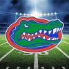 Florida Gators Football paint by number