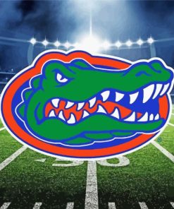 Florida Gators Football paint by number