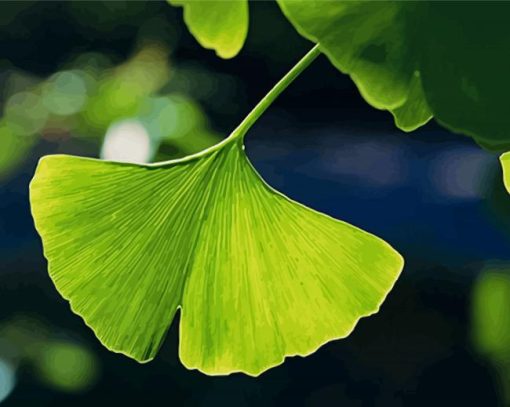 Ginkgo Biloba Leave paint by number