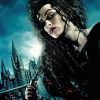 Harry Potter Bellatrix paint by number