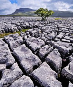 Ingleborough Rocks paint by number