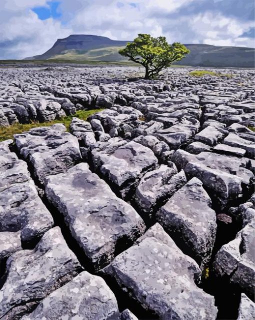 Ingleborough Rocks paint by number