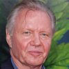 Jon Voight American Actor paint by number