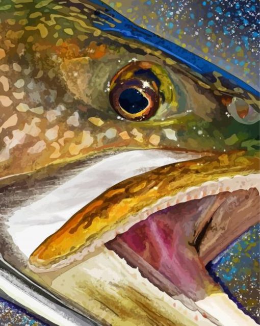 Lake Trout Head paint by number