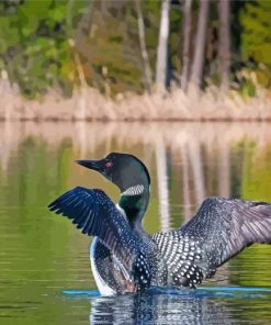 Lake With Loon Bird paint by number