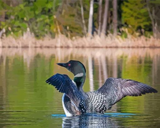 Lake With Loon Bird paint by number