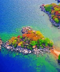 Mumbo Island Malawi paint by number