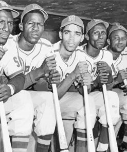 Negro League Baseball paint by number