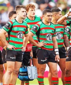 Nrl South Sydney Football Paint by number