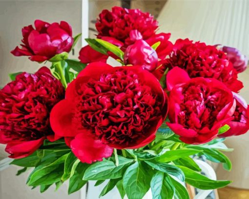 Red Peony paint by number