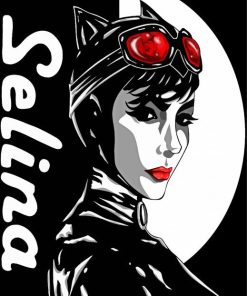 Selina Kyle Illustration paint by number