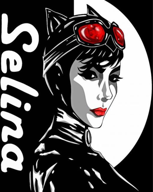 Selina Kyle Illustration paint by number