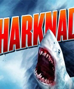 Sharknado Film Poster paint by number