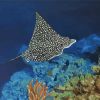 Spotted Eagle Ray Underwater paint by number