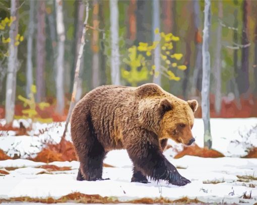 Swedish Brown Bear In Snow paint by number