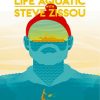 The Life Aquatic With Steve Zissou Illustration Poster paint by number