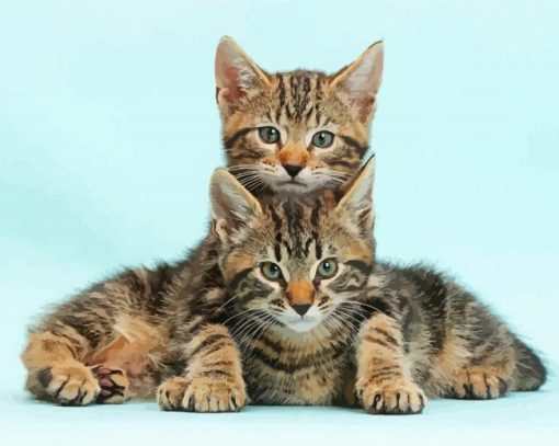 Two Tabby Kittens paint by number