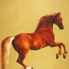 Whistlejacket By George Stubbs paint by number