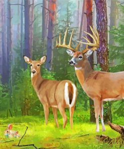 Whitetail Deer Illustration Paint by number