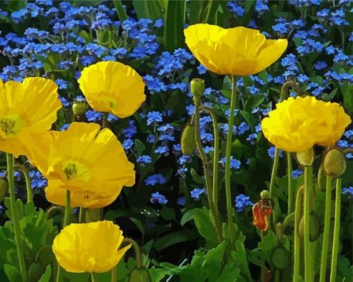 Yellow Poppies With Blue Flowers paint by number