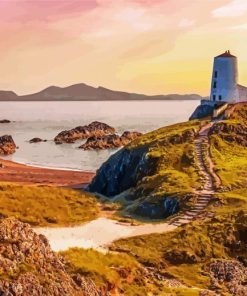 Ynys Llanddwyn Island Paint by number