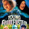 Young Frankenstein Movie Paint by number