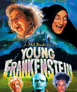 Young Frankenstein Movie Paint by number