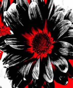 Abstract Red White And Black Daisy paint by number