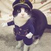 Aesthetic Cute Cat In Police Clothing paint by number