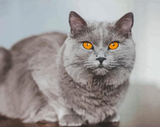 Aesthetic Grey Cat With Orange Eyes paint by number