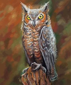 Aesthetic Long Eared Owl Illustration paint by number