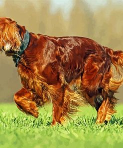 Aesthetic Red Setter Paint by number